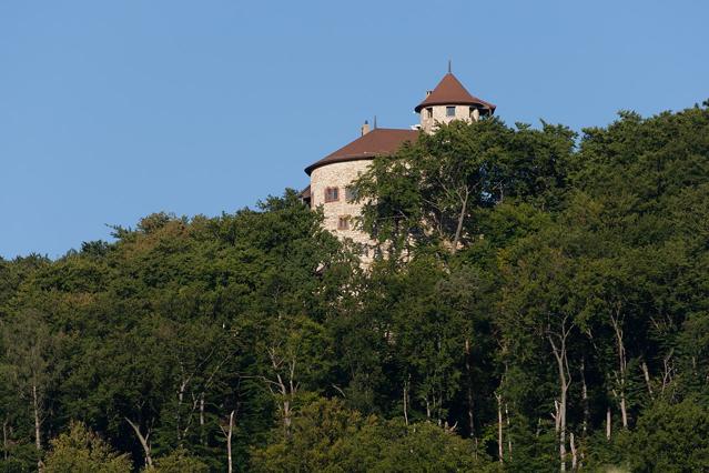 Reichenstein Castle